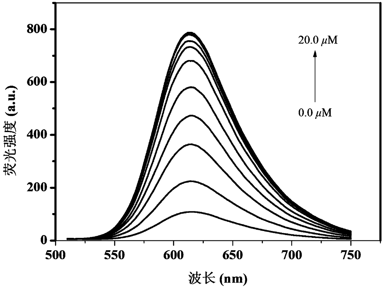 Fluorescent probe for detecting biological thiols