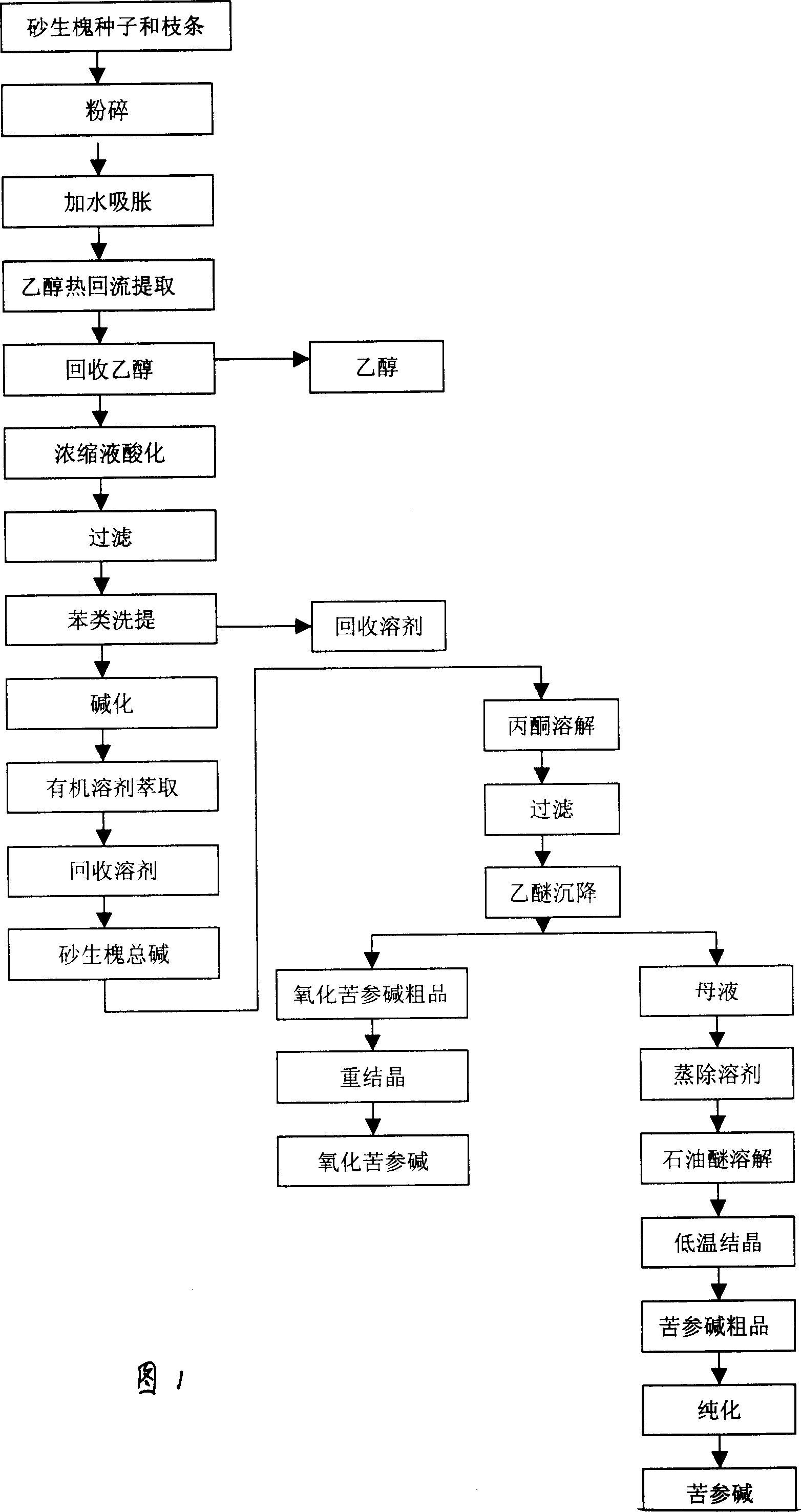 Process for extracting oxymatrine and matrine from sophora moocroftiana