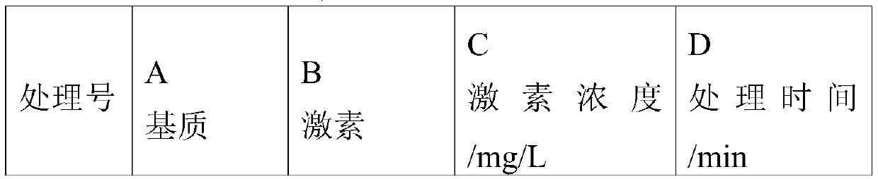 Method for raising seedlings of citrus medica by cutting