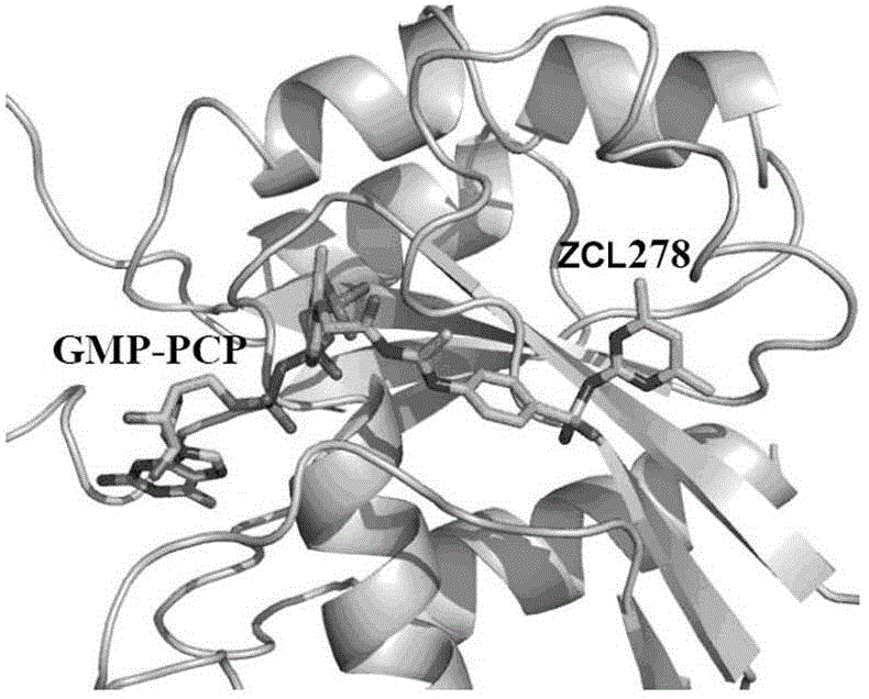 Cdc42 inhibitor and application thereof