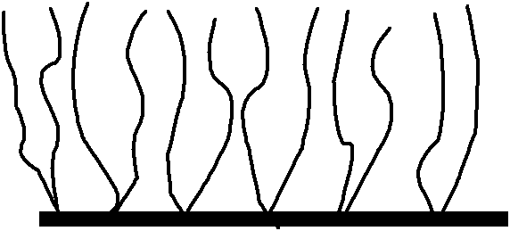 Polycarboxylic acid, use thereof and water reducer containing same