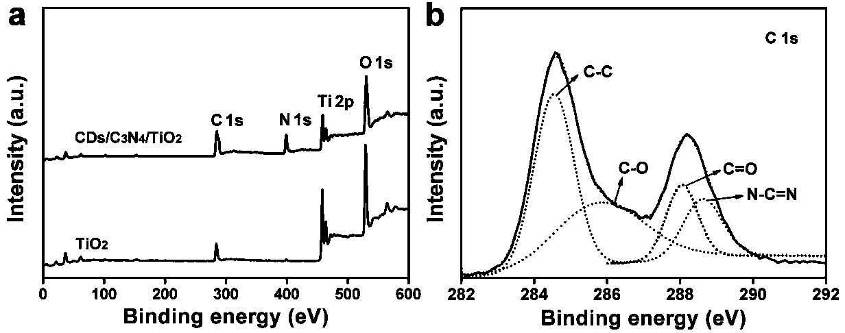 Titanium dioxide photoelectrode co-modified by carbon dots and carbon nitride, as well as preparation method and application thereof