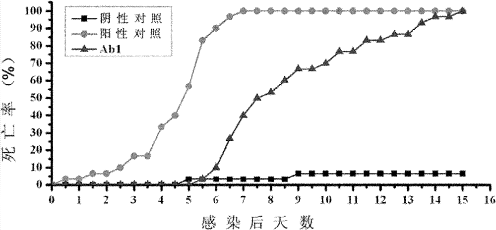 Anti-idiotypic monoclonal antibody against envelope protein vp28 of shrimp white spot syndrome virus and the preparation method thereof