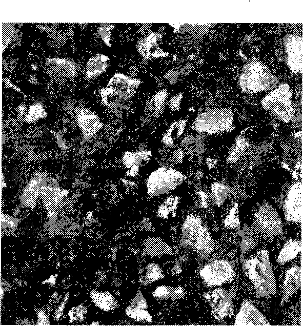 Method for determine surface structure depth of exposed aggregate concrete by curved surface fitting