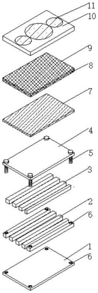 Diatom ooze wood-plastic wallboard and manufacturing method thereof