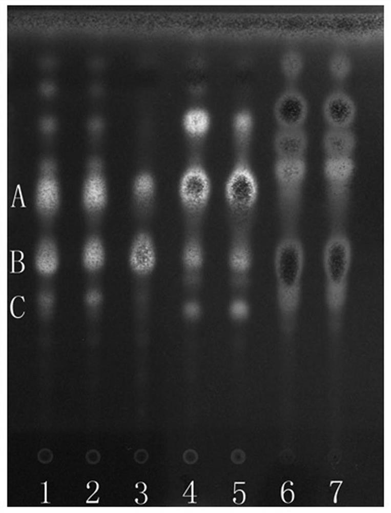 Quality detection method of lobedfruit schizocapsa herb medicinal material