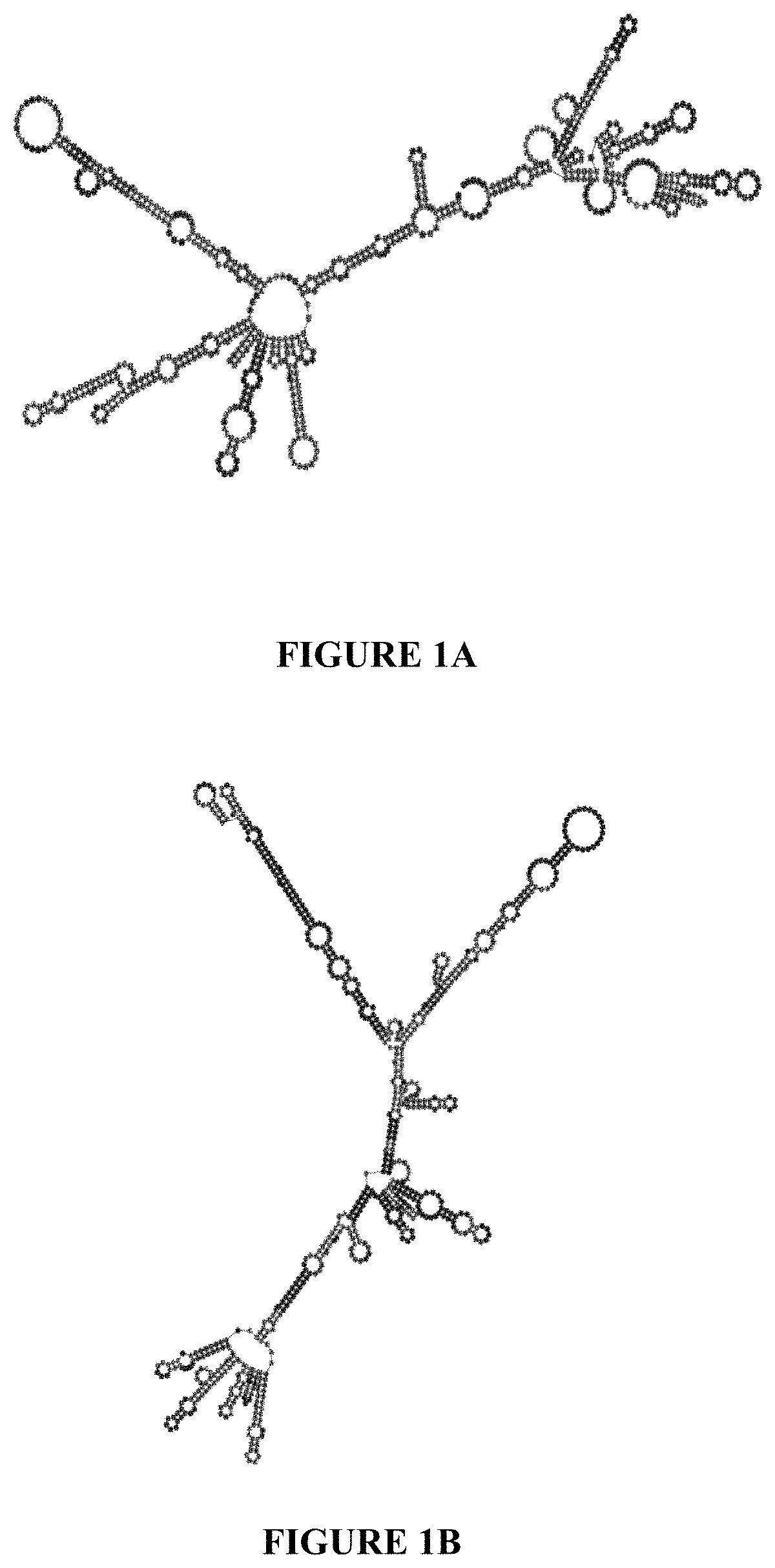 Deuterium-Stabilised Ribonucleic Acid (RNA) Molecules Displaying Increased Resistance to Thermal and Enzymatic Hydrolysis, Aqueous Compositions Comprising Stabilised RNA Molecules and Methods for Making Same