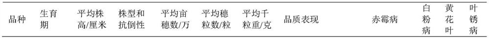 Breeding method for high-yield disease-resistant strong gluten wheat in middle and lower reaches of Yangtze River