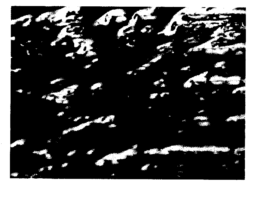 Production method for birefringent film, birefringent film, and laminate