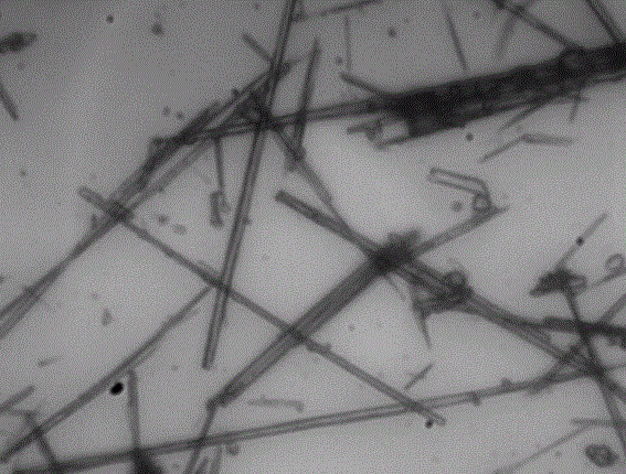 Method for modifying calcium sulphate whisker surface