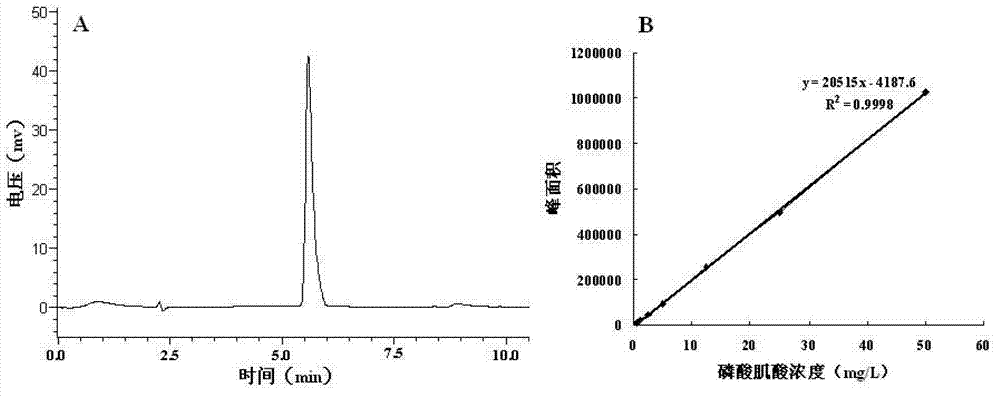 Method for producing phosphocreatine by microbial enzyme method