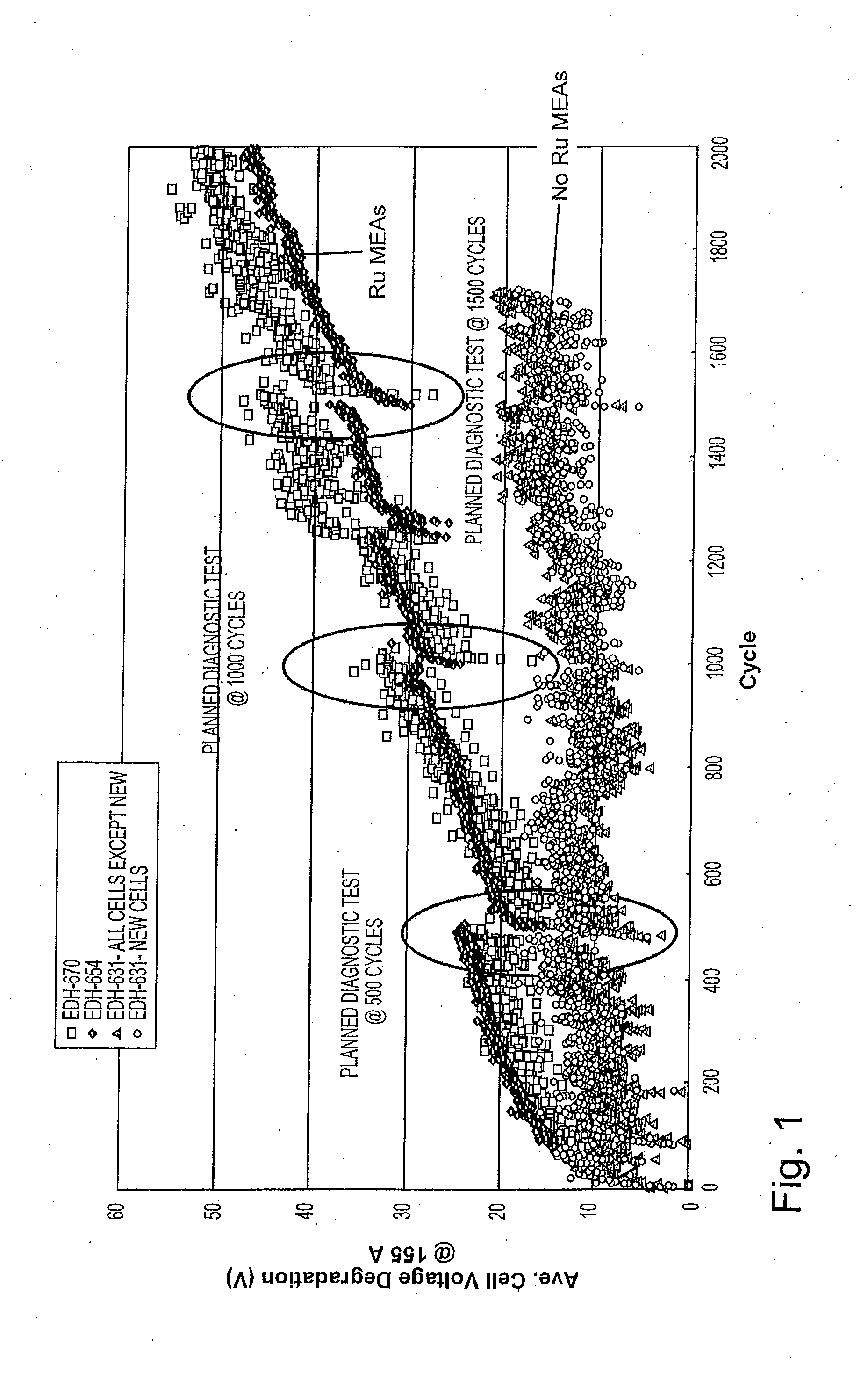 Reversal tolerant membrane electrode assembly for a fuel cell