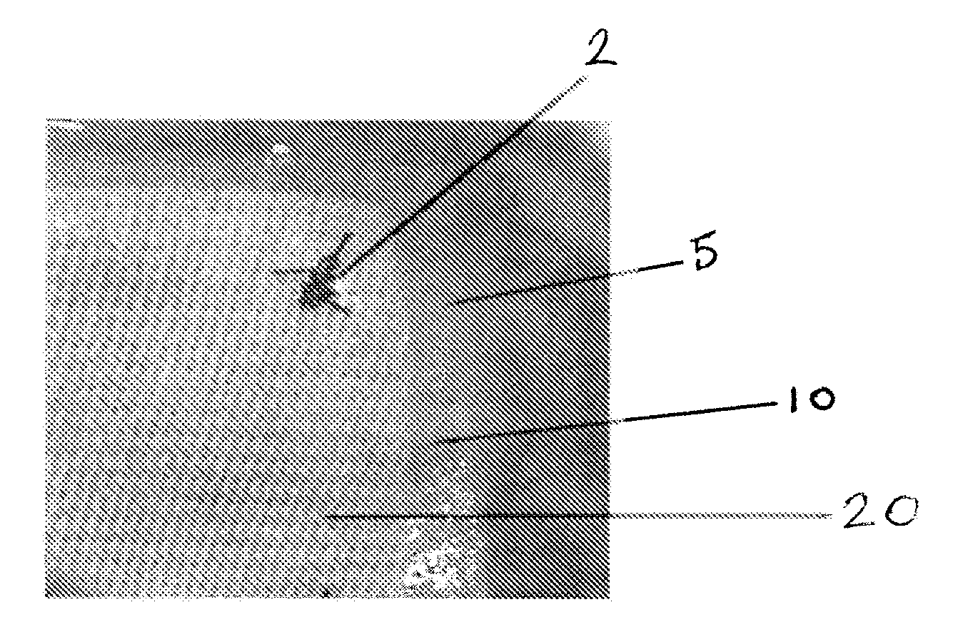 Method of forming and the resulting membrane composition for surgical site preservation
