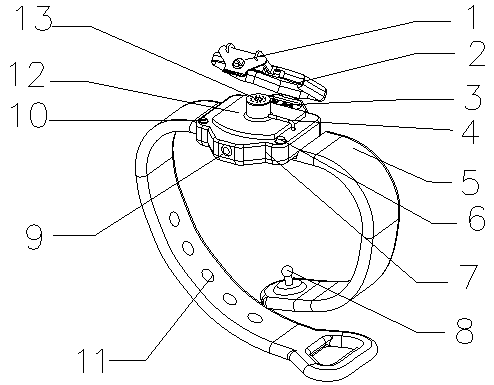 Liquid drug delivery device