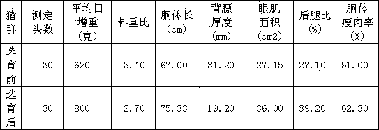 Breeding method for Jiangquan white Duroc pigs