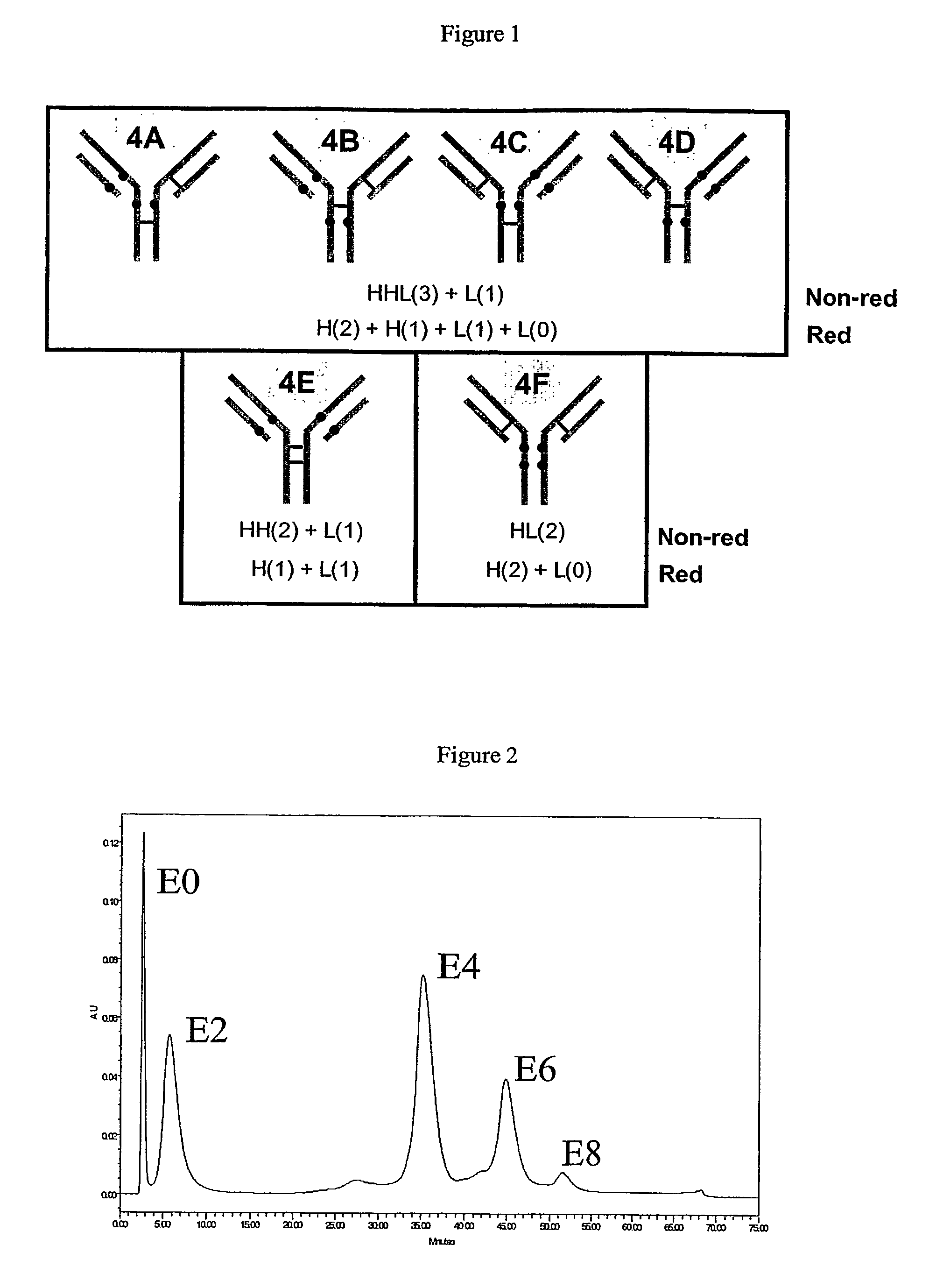 Partially loaded antibodies and methods of their conjugation
