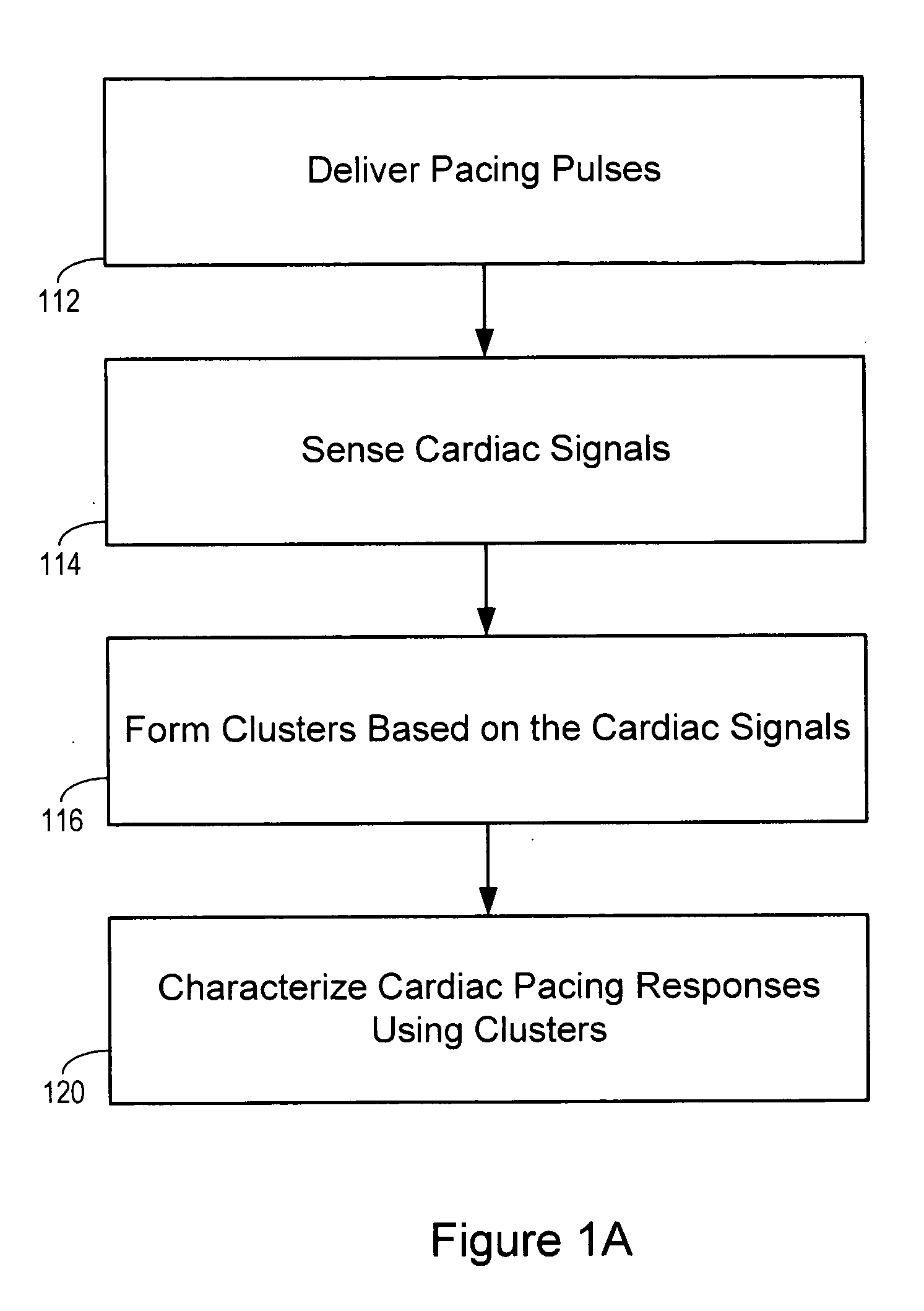 Cardiac signal template generation using waveform clustering