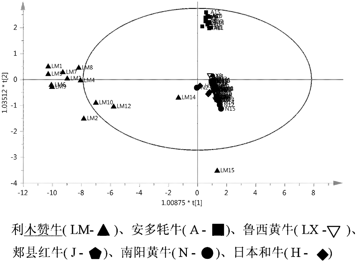 A combination of microsatellite primers and its detection kit for traceability and identification of beef products