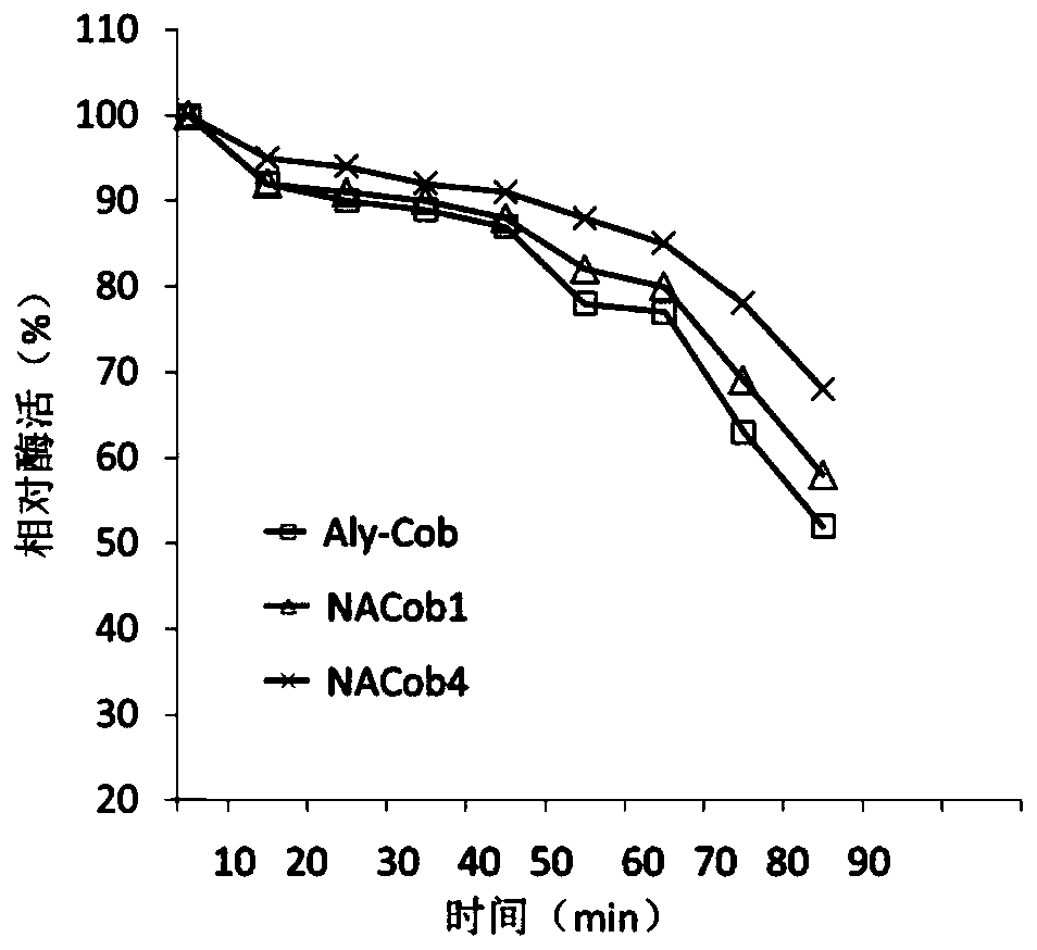 N-glycosylation algin lyase mutant capable of being efficiently applied and genetic engineering bacterium construction method