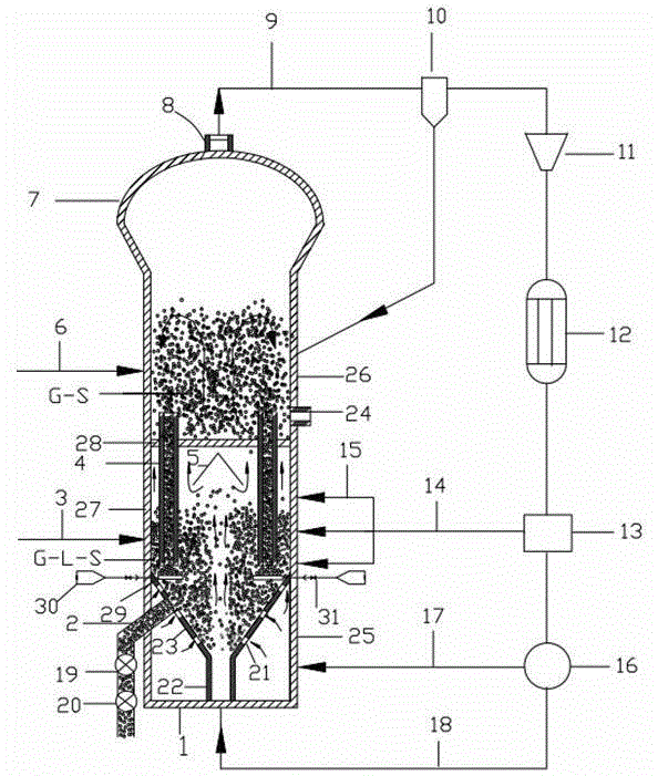 Spouted fluidized bed-fluidized bed composite reactor and polymer preparation method