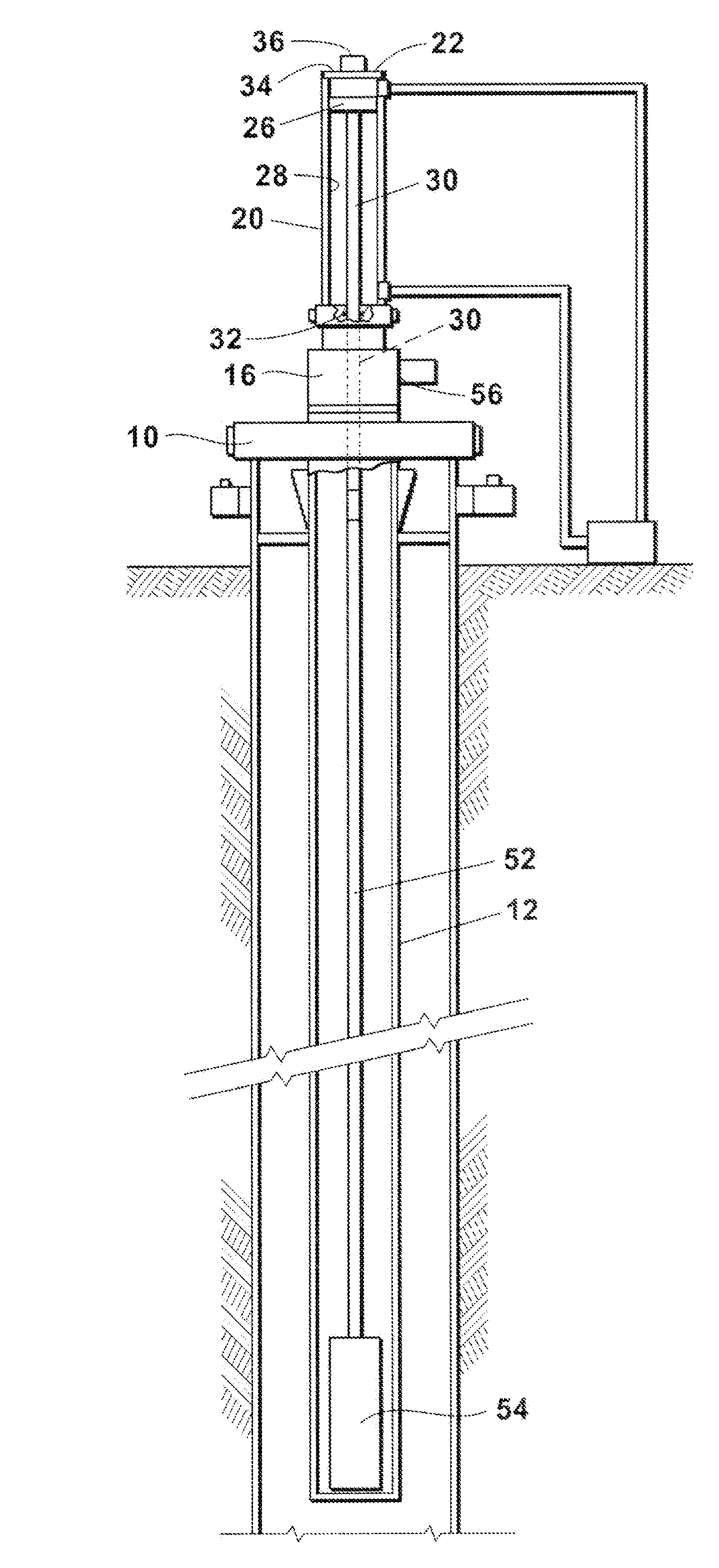 Reciprocated Pump System For Use In Oil Wells