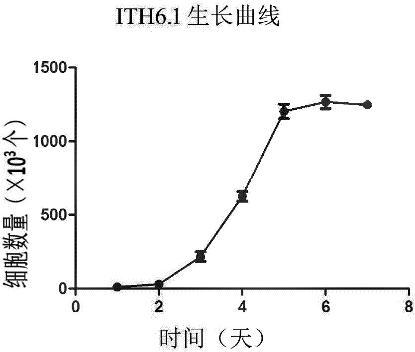 Tree shrew hepatocyte immortalized cell line and its construction method and application