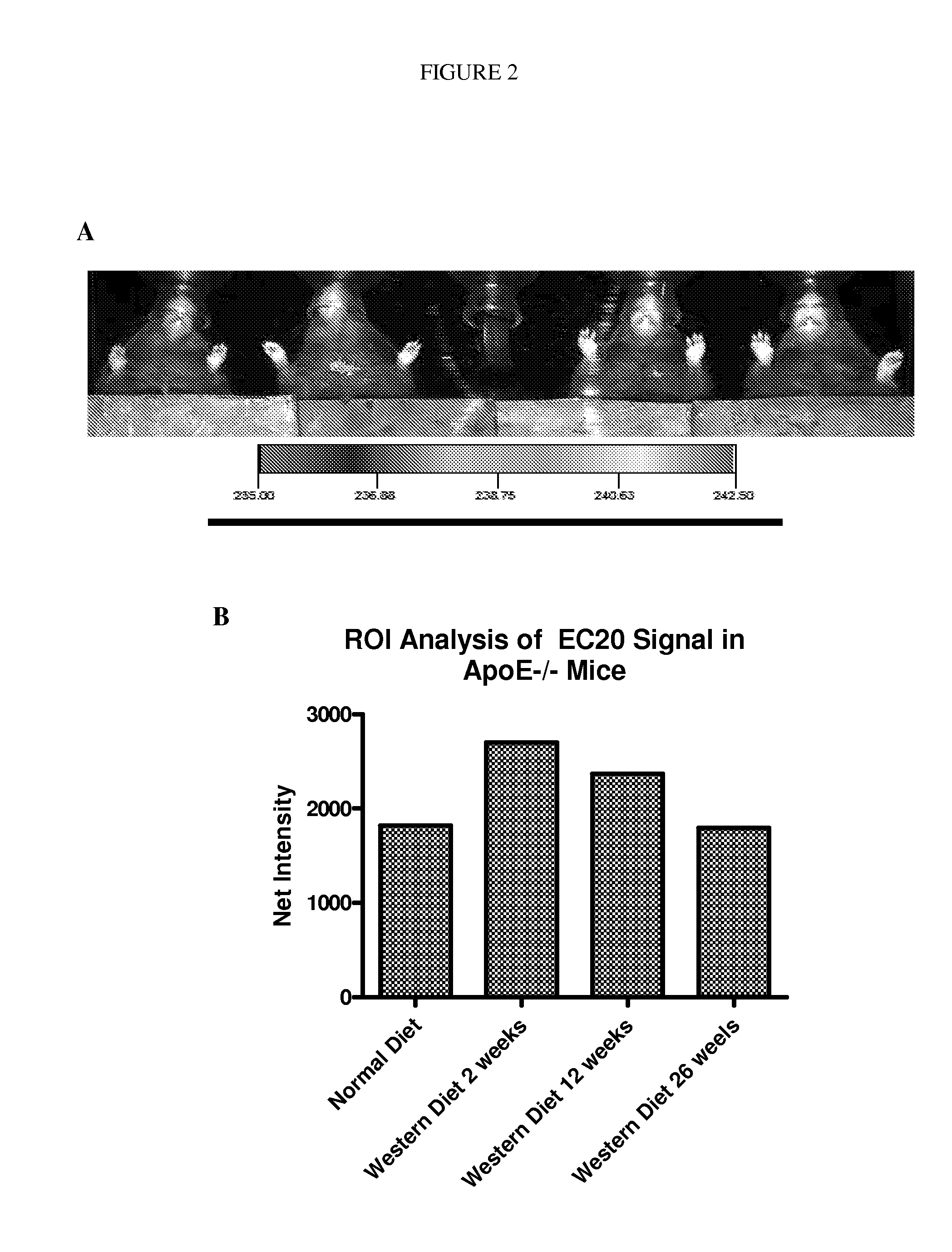 Method for early imaging of atherosclerosis