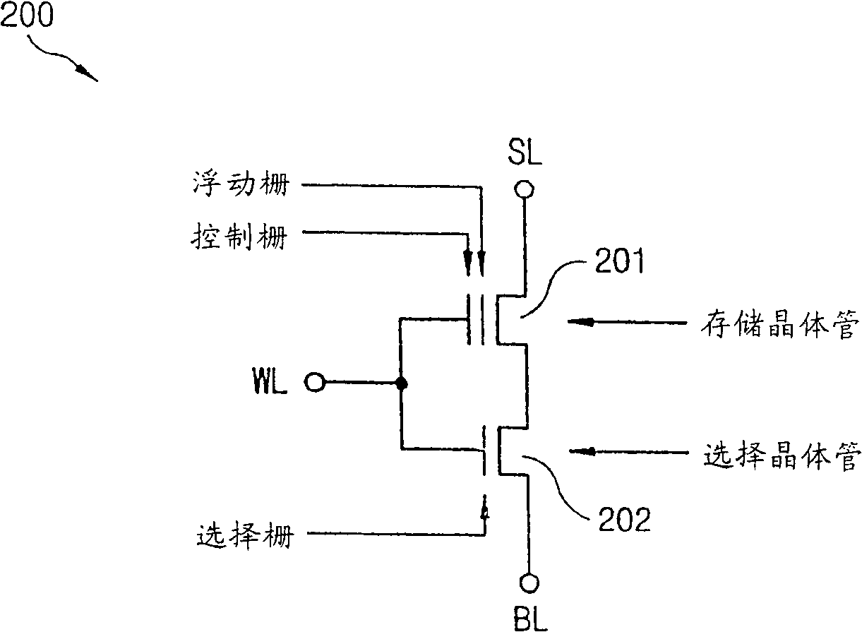 Flash memory device with stable source line regardless of bit line coupling and loading effect