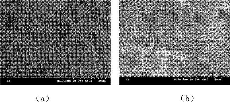 Laser metal direct forming method of liquid argon jet cooling directional solidification