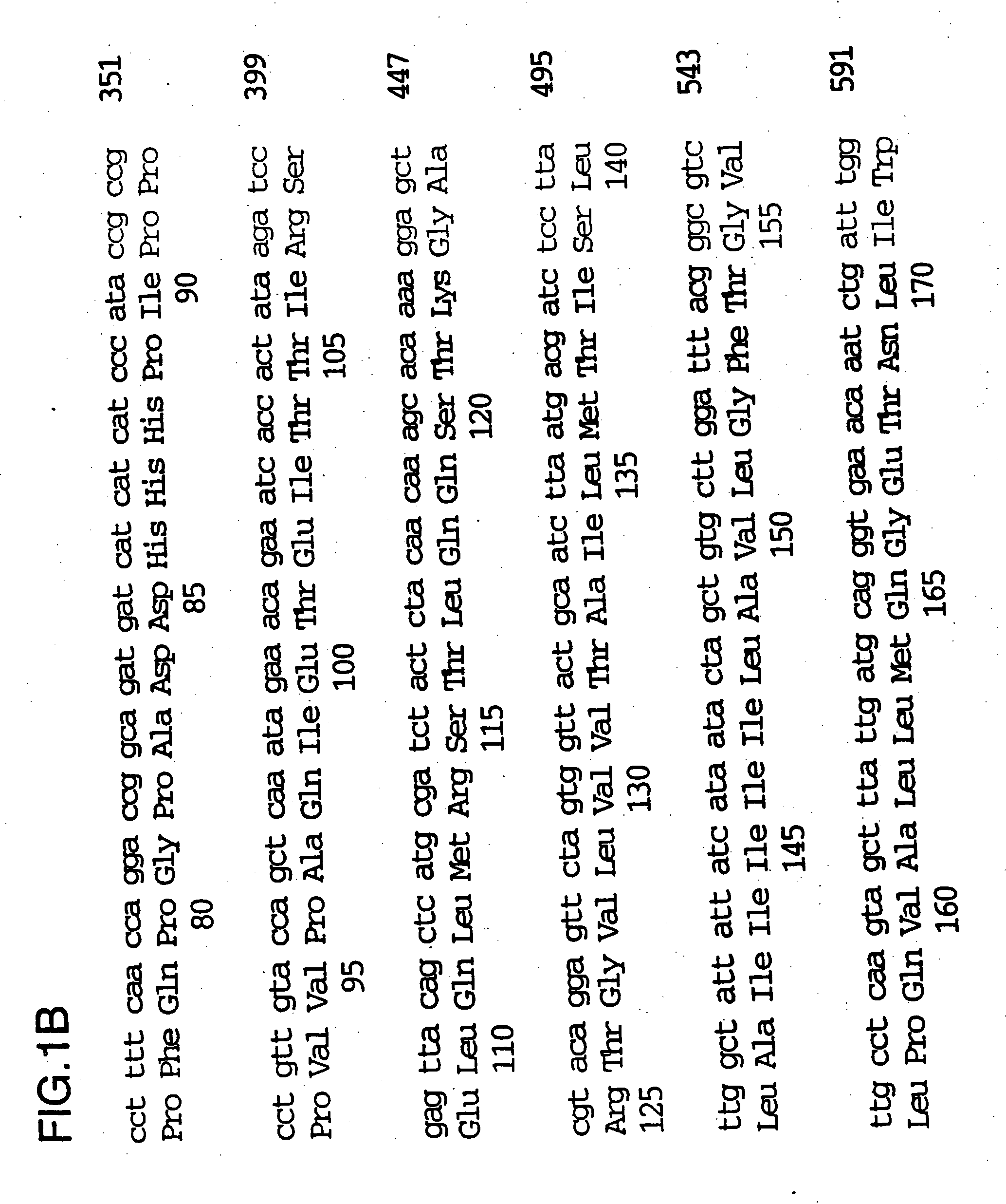 Nucleic acid molecules encoding inclusion membrane protein C of Chlamydia