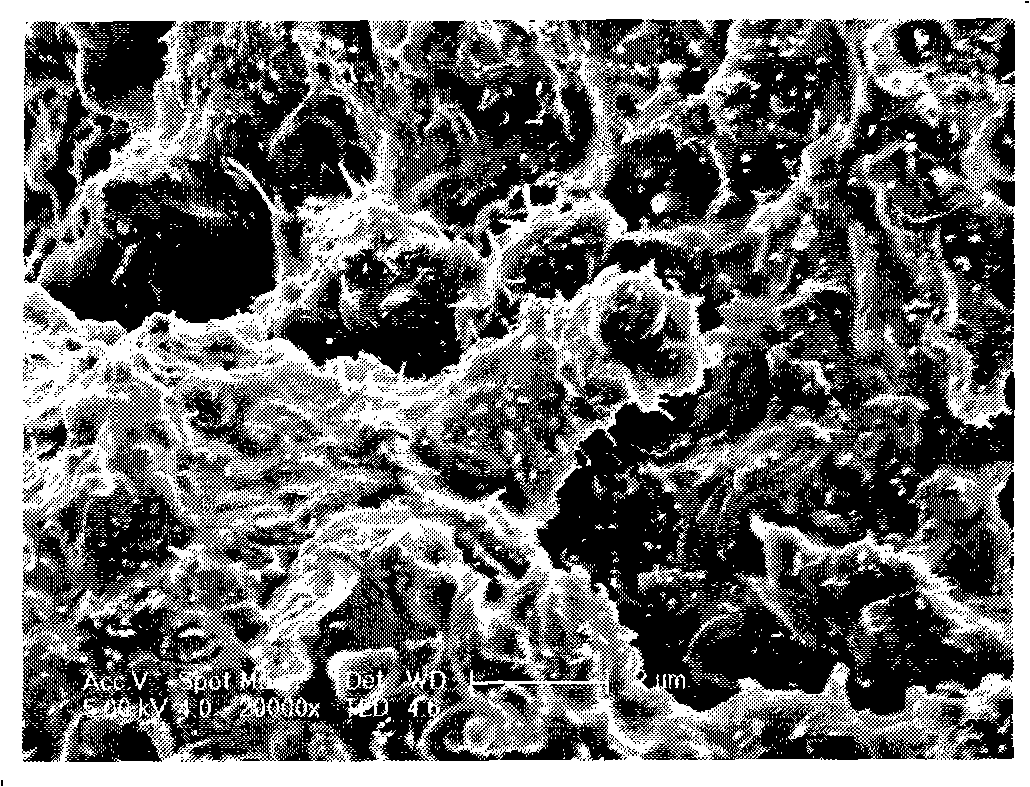 Preparation method of polymeric based carbon nano tube composite material in the technical field of nano-materials