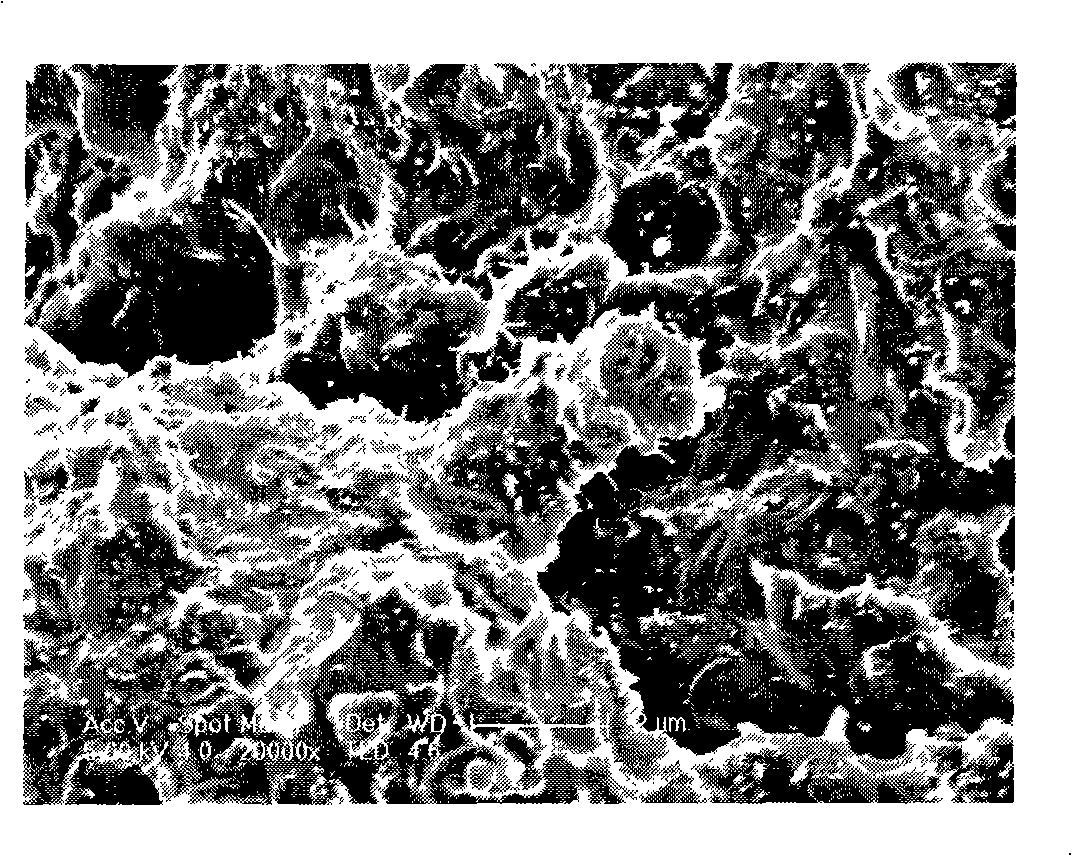 Preparation method of polymeric based carbon nano tube composite material in the technical field of nano-materials