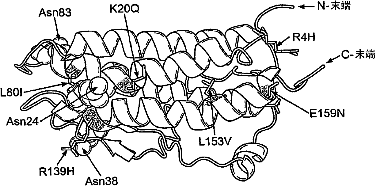 Modified erythropoietin polypeptides and uses thereof for treatment