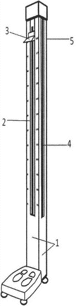 Height ruler embedded with reference standard ruler