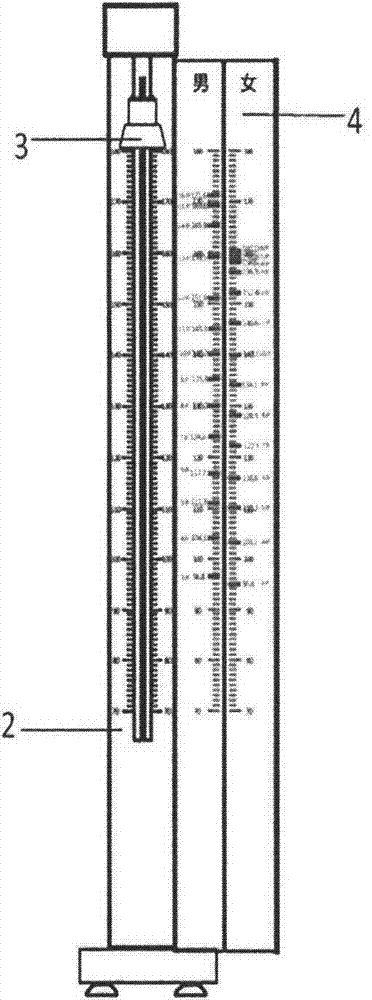 Height ruler embedded with reference standard ruler