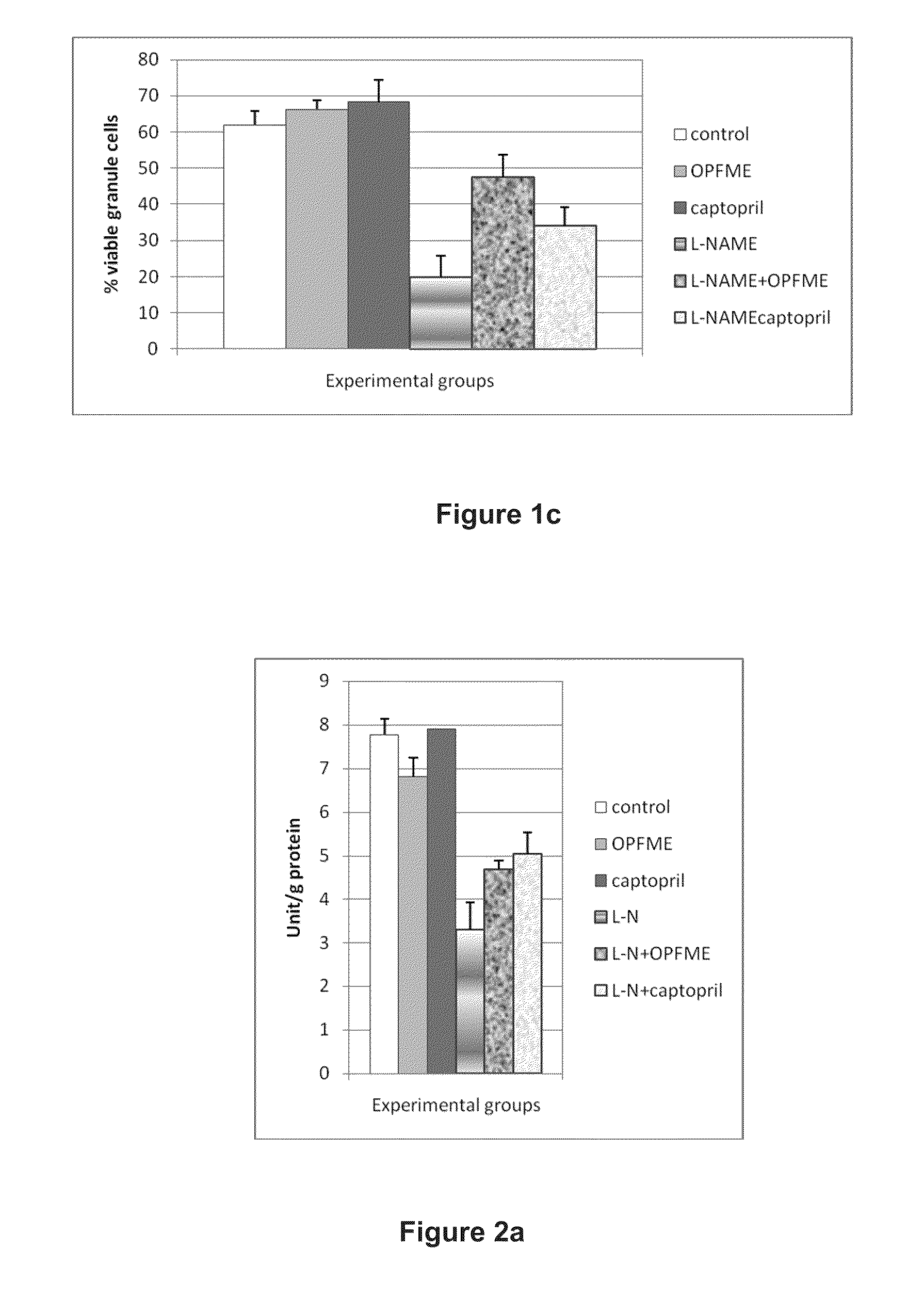 Use of a Neuroprotective Extract and Pharmaceutical Preparation Thereof