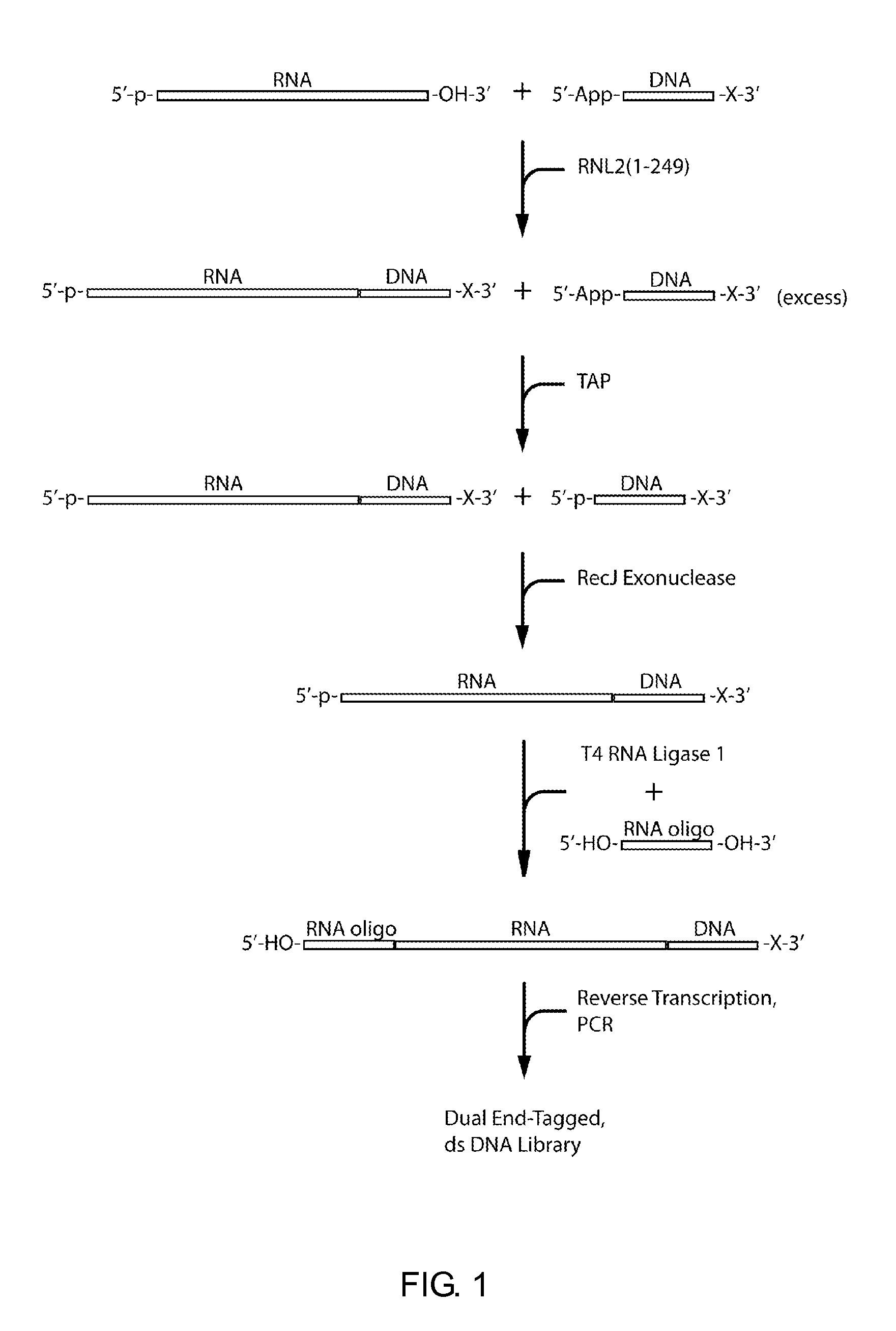 Methods and kits for 3'-end-tagging of RNA
