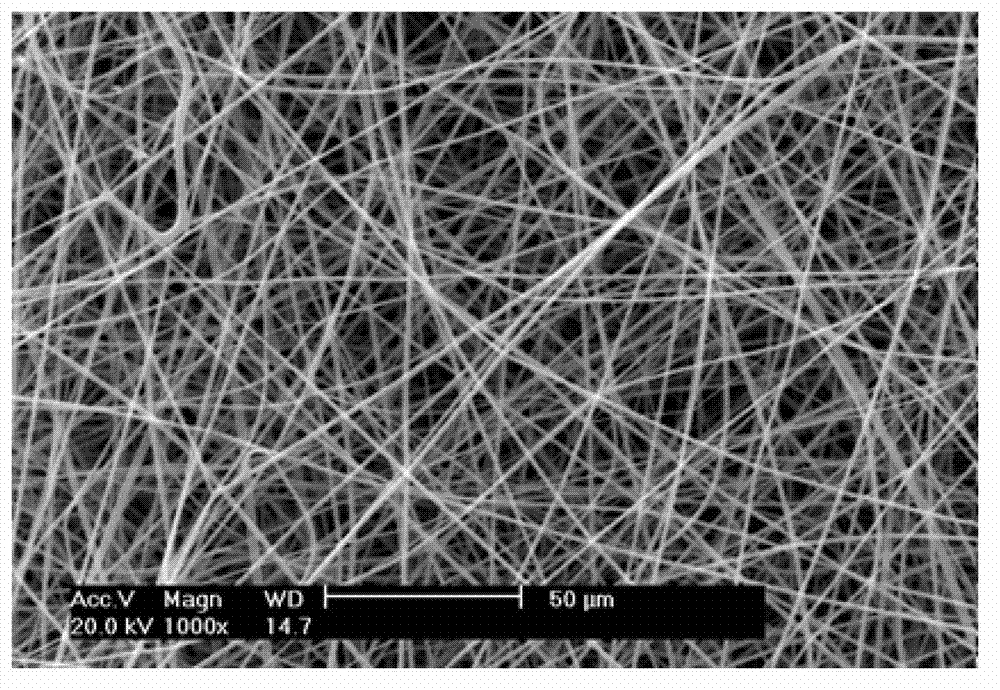 Preparation of polylactic-co-glycolic acid (PLGA) nano-fiber scaffold and application of PLGA nano-fiber scaffold to tissue engineering