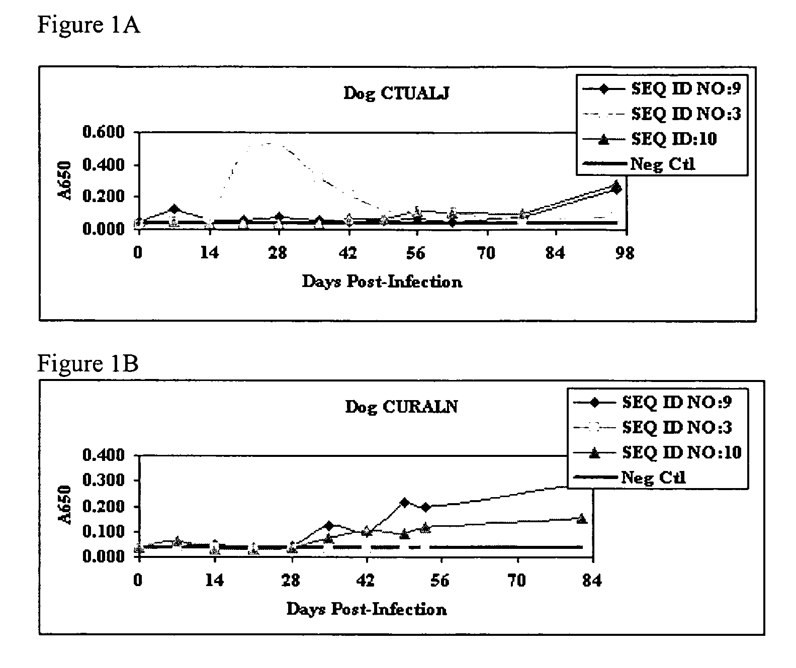 Compositions and methods for detection of Ehrlichia canis and Ehrlichia chaffeensis antibodies