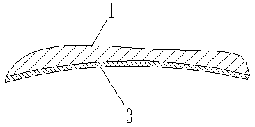 Antiskid membrane resin lens and production process thereof