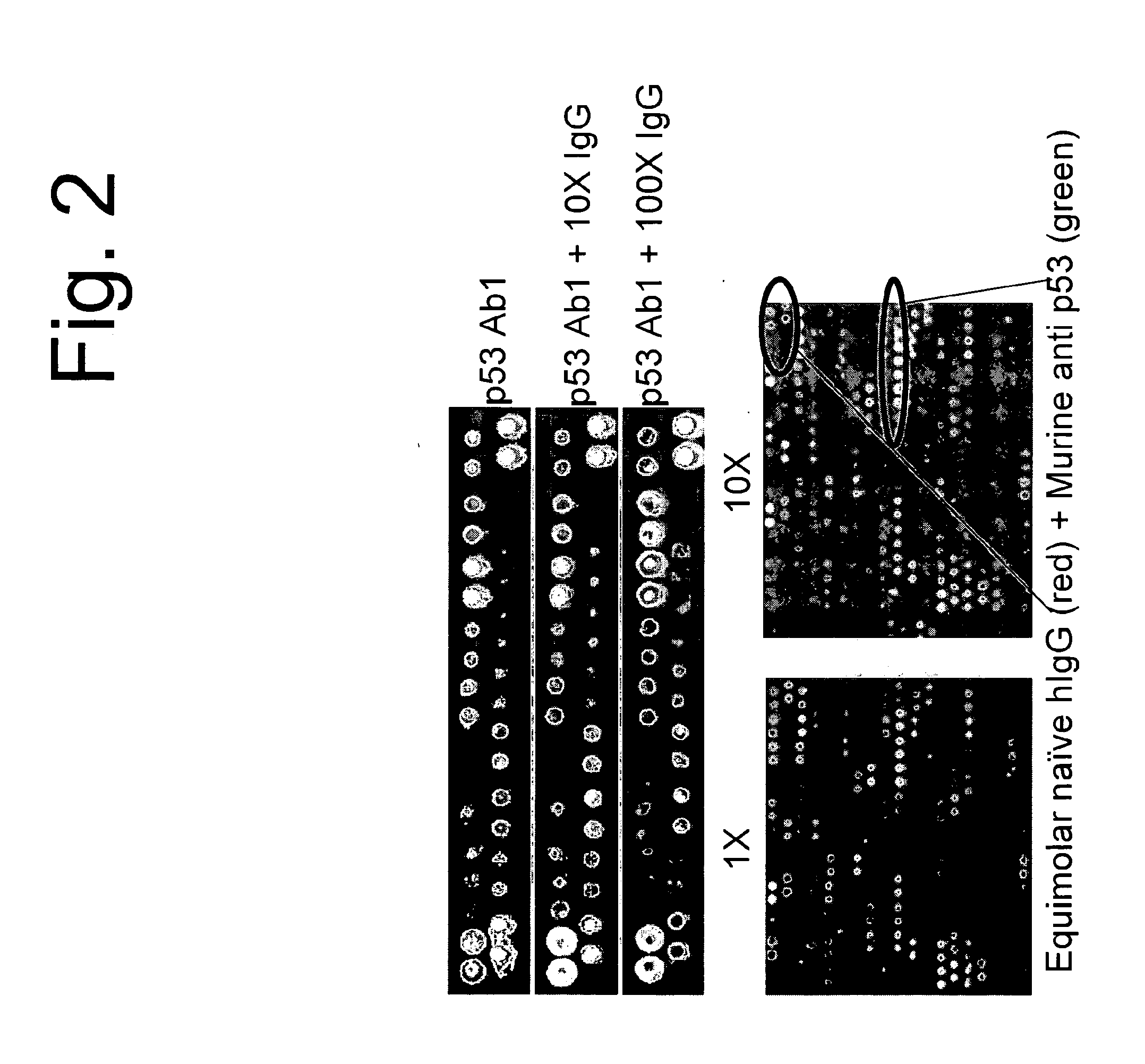 Compound Arrays for Sample Profiling