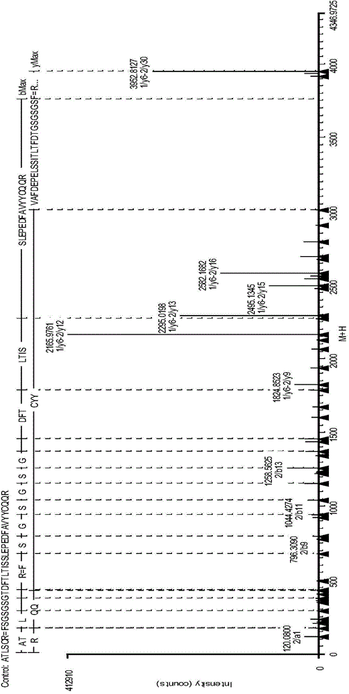 Analysis method for disulfide bond pairing of monoclonal antibody