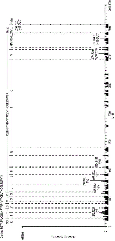 Analysis method for disulfide bond pairing of monoclonal antibody