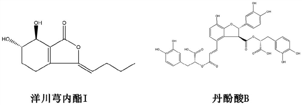 Skyunolide I compound and application thereof in treating myocardial hypertrophy disease