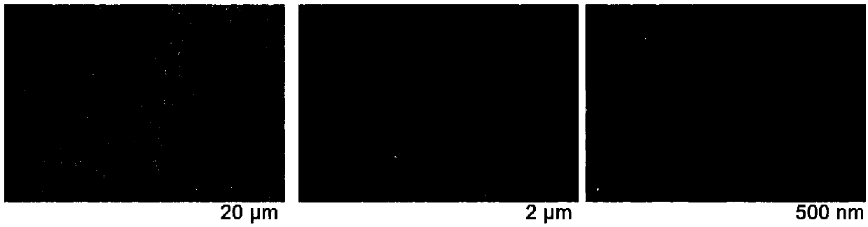 Preparation method of hydrogel tumor vaccine, hydrogel tumor vaccine prepared by preparation method and application of hydrogel tumor vaccine