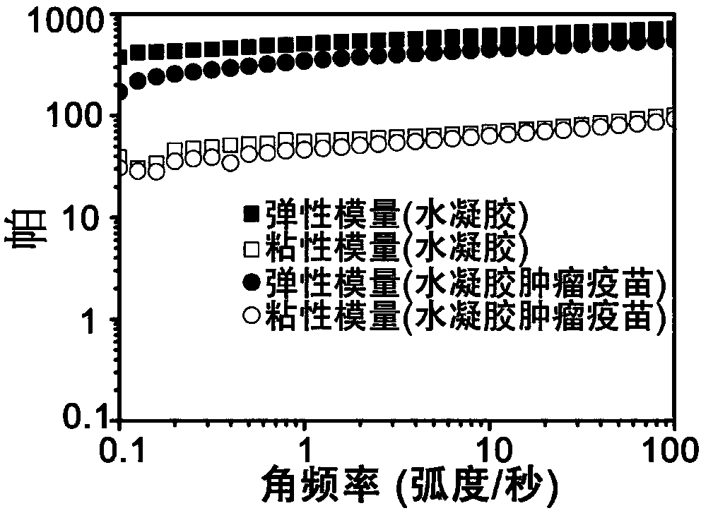 Preparation method of hydrogel tumor vaccine, hydrogel tumor vaccine prepared by preparation method and application of hydrogel tumor vaccine