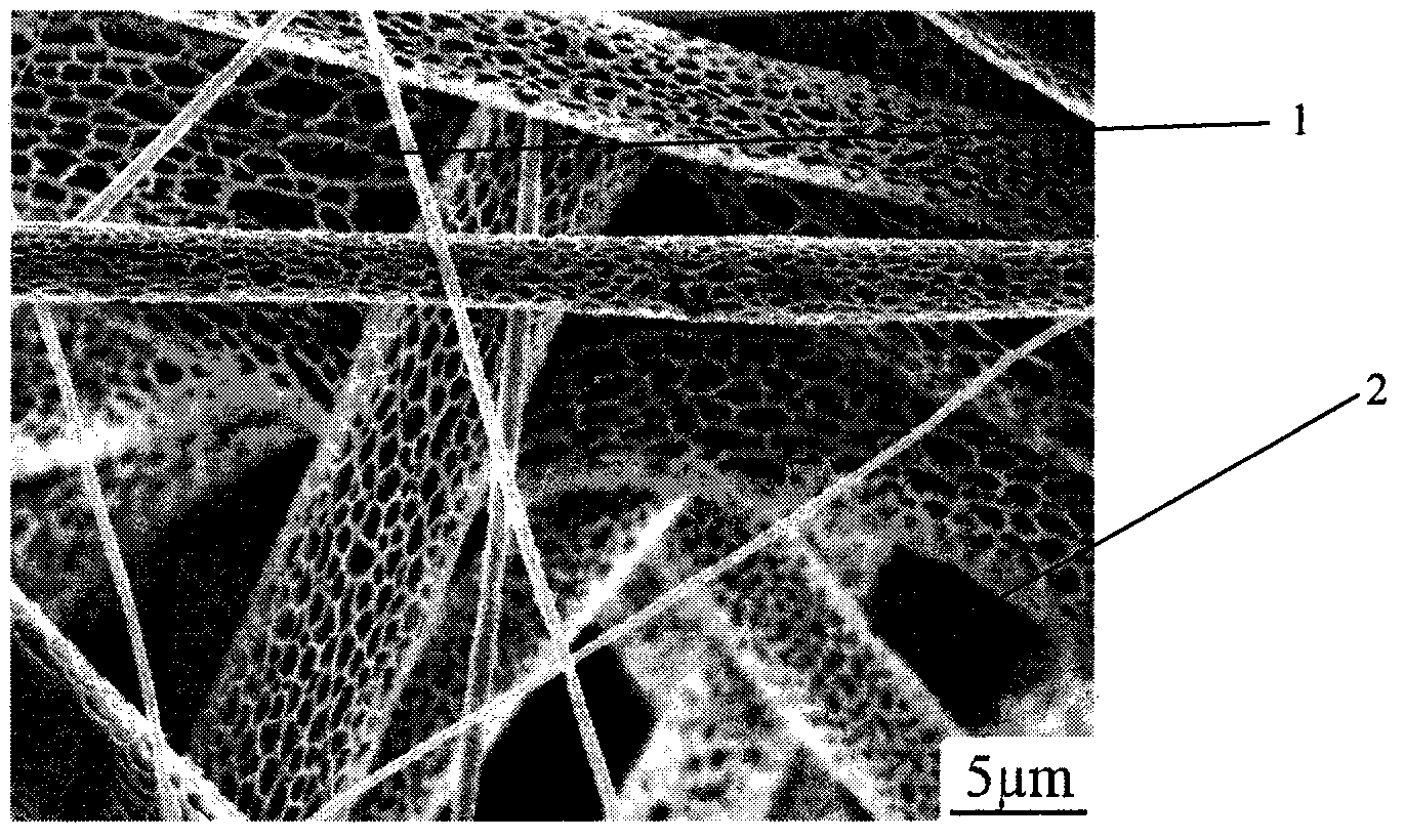 Composite porous fibers with core-shell structures and preparation method of dual-pore structure membrane
