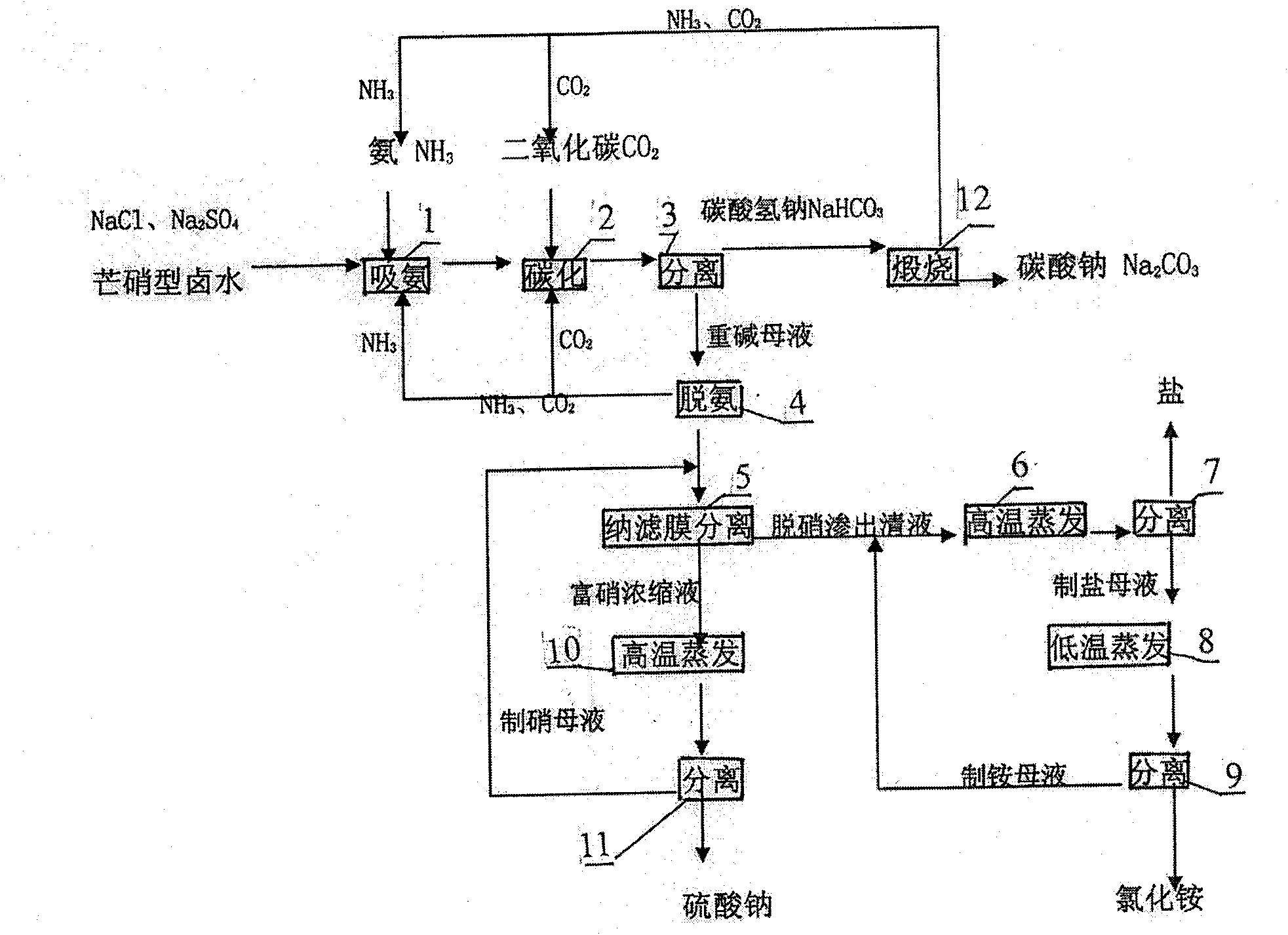 Process for producing mirabilite type bittern, sodium carbonate, sodium chloride, sodium sulfate and ammonium chloride