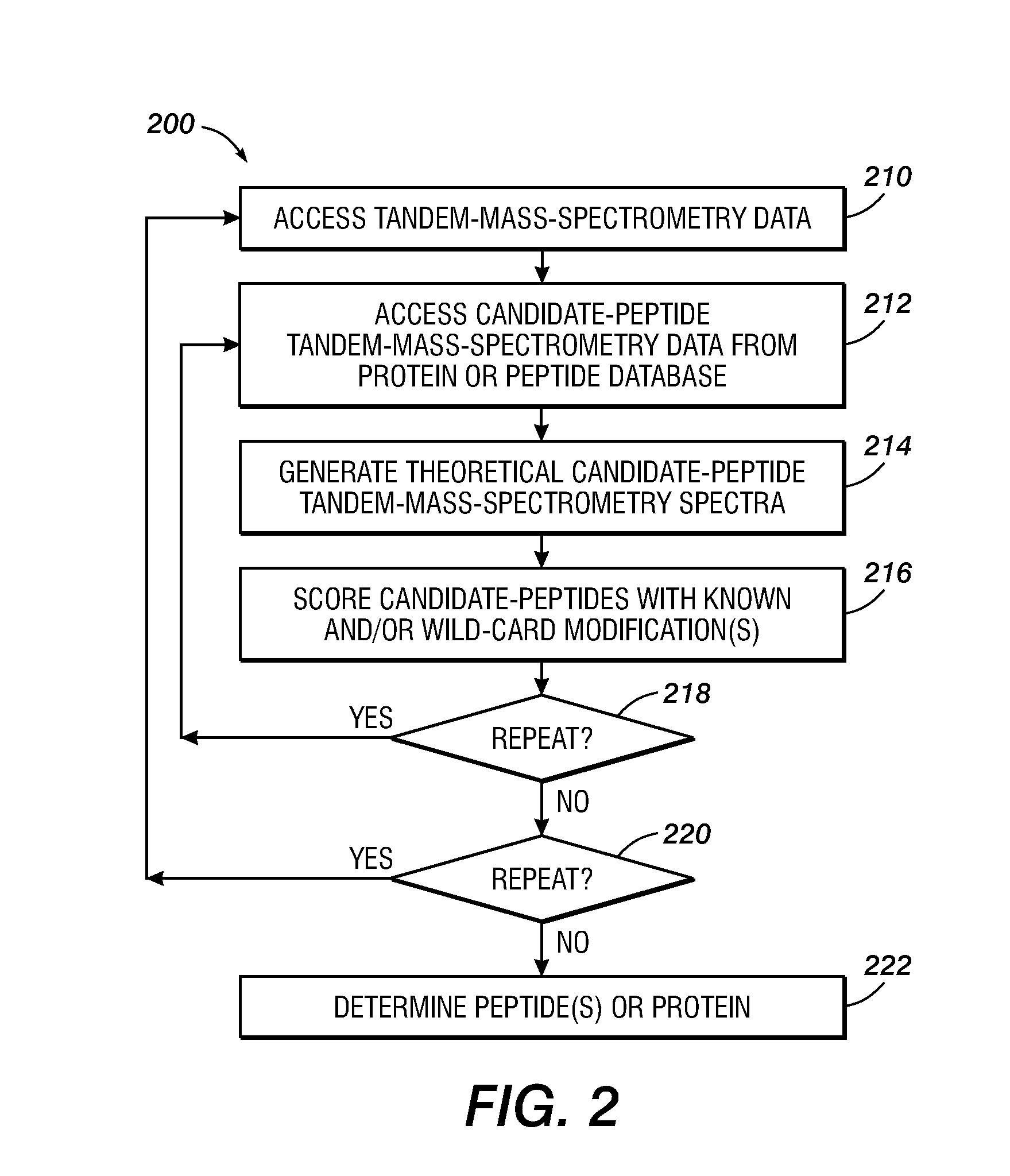 Wild-card-modification technique for peptide identification