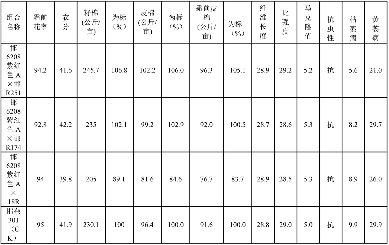 Seed production method of three-line hybrid cottons with purplish red marks